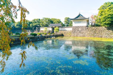 Tokyo'da bina güzel İmparatorluk Sarayı