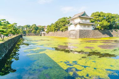 Tokyo'da bina güzel İmparatorluk Sarayı