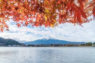 Japonya 'daki Kawaguchiko Gölü' nde Fuji Dağı..