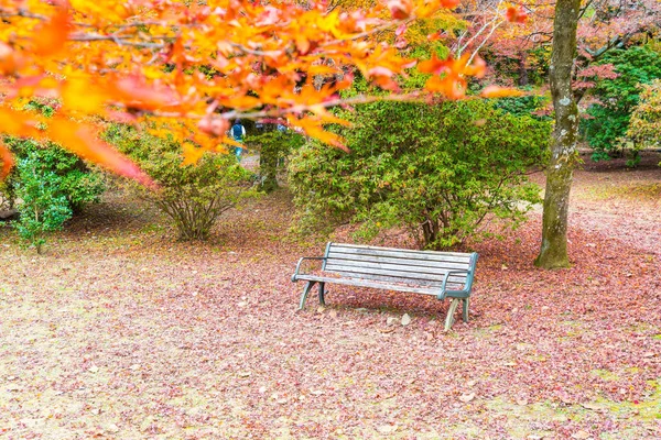 Panca con foglie di acero rosso in fiore ad Arashiyama — Foto Stock