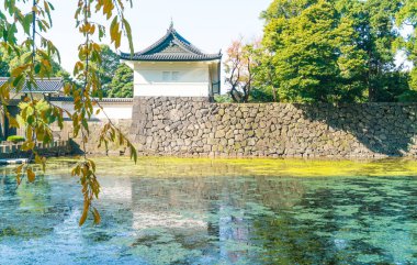 Tokyo'da bina güzel İmparatorluk Sarayı