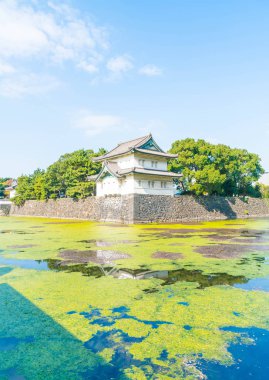 Tokyo'da bina güzel İmparatorluk Sarayı