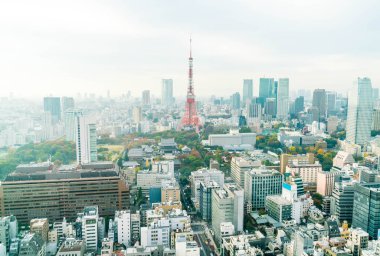 Tokyo şehir manzarası alacakaranlıkta