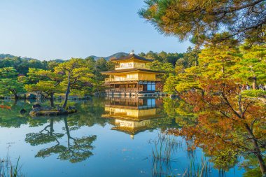 Kinkakuji Tapınağı (altın köşk güzel mimari)