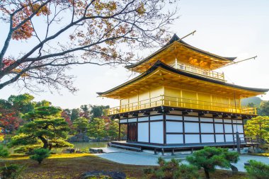 Kinkakuji Tapınağı (altın köşk güzel mimari)