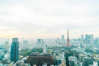 Tokyo şehir manzarası alacakaranlıkta