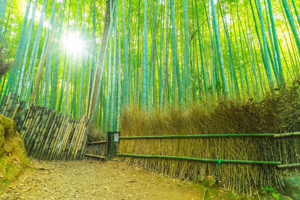 Camino al bosque de bambú en Arashiyama en Kyoto . —  Fotos de Stock