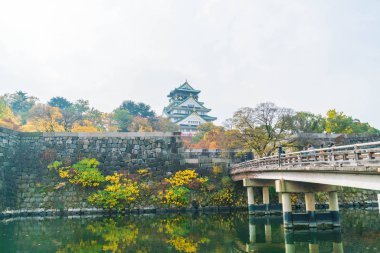 Osaka, Japonya - Kasım 20: Osaka Kalesi Park'ta kalabalık ziyaretçi. Ben