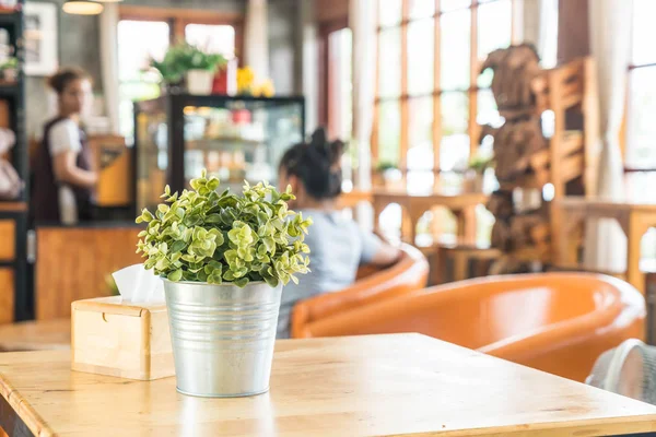 saksı dekorasyonunda bitki 