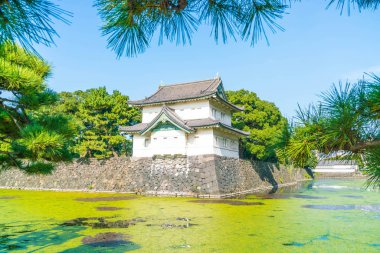 Tokyo'da bina güzel İmparatorluk Sarayı