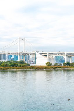 Tokyo siluetinin Tokyo kule ve Gökkuşağı Köprüsü ile. 