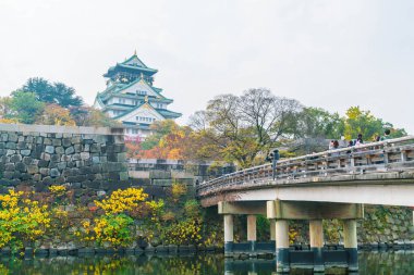 Osaka, Japonya - Kasım 20: Osaka Kalesi Park'ta kalabalık ziyaretçi. Ben