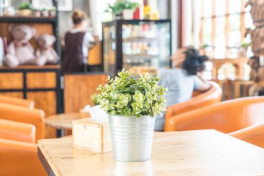 saksı dekorasyonunda bitki 