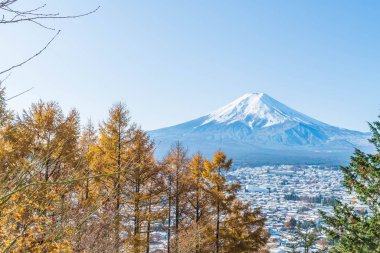 Kawaguchiko, dağ Fuji San