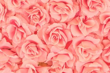 plastik arka plan gül