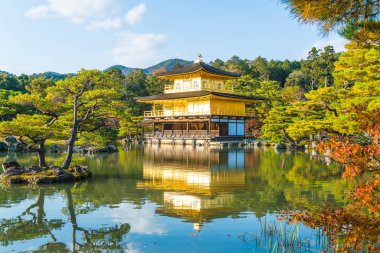 Kinkakuji Tapınağı (altın köşk güzel mimari)