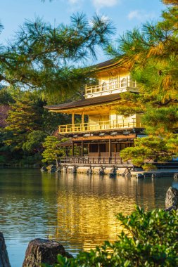 Kinkakuji Tapınağı (altın köşk güzel mimari)