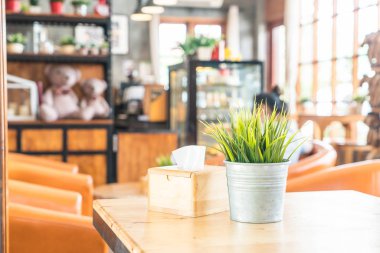 saksı dekorasyonunda bitki 