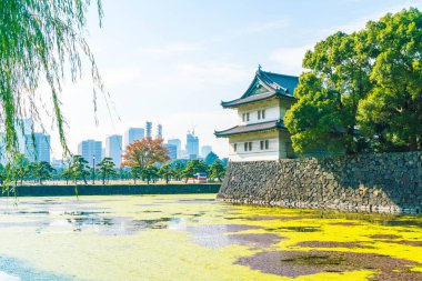 Tokyo'da bina güzel İmparatorluk Sarayı
