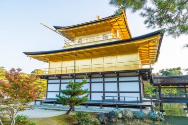 Kinkakuji Tapınağı (altın köşk güzel mimari)