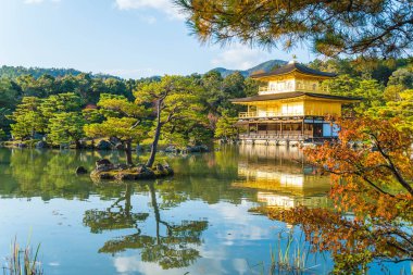 Kinkakuji Tapınağı (altın köşk güzel mimari)