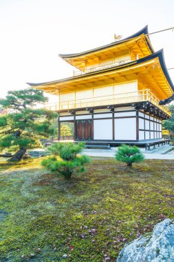 Kinkakuji Tapınağı (altın köşk güzel mimari)