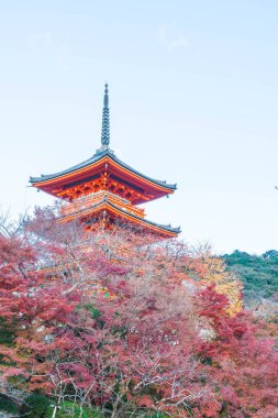 Kiyomizu-dera Tapınağı güzel mimari Kyoto,.