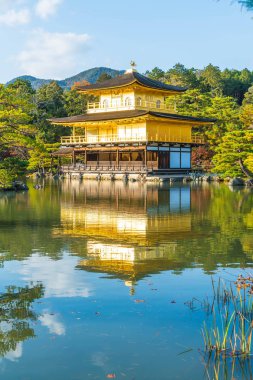 Kinkakuji Tapınağı (altın köşk güzel mimari)