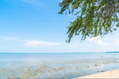 plaj Kuzey Pattaya, Tayland