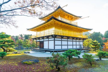 Kinkakuji Tapınağı (altın köşk güzel mimari)
