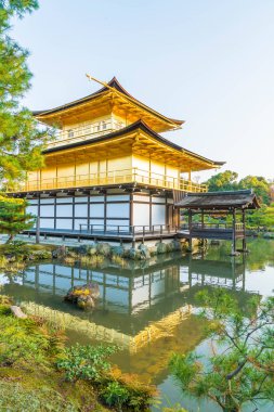 Kinkakuji Tapınağı (altın köşk güzel mimari)