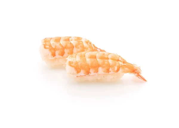 Shrimp sushi nigiri - japanese food style — Stock Photo, Image