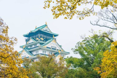 Osaka Kalesi, güzel mimari 