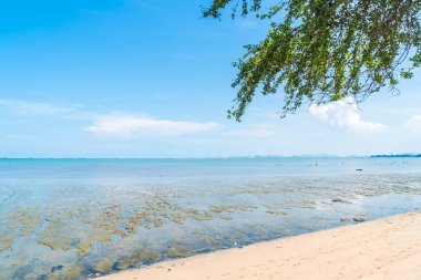 plaj Kuzey Pattaya, Tayland