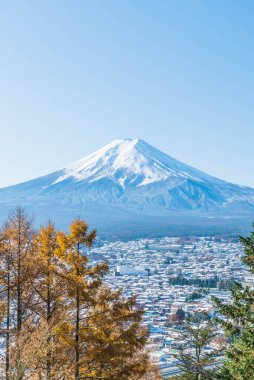 Kawaguchiko, dağ Fuji San