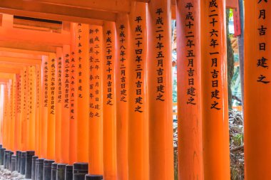 Kırmızı tori gate adlı fushimi Inari tapınak Kyoto, Japonya.