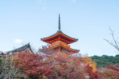 Kiyomizu-dera Tapınağı güzel mimari Kyoto,.