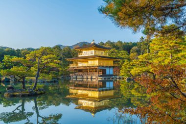 Kinkakuji Tapınağı (altın köşk güzel mimari)