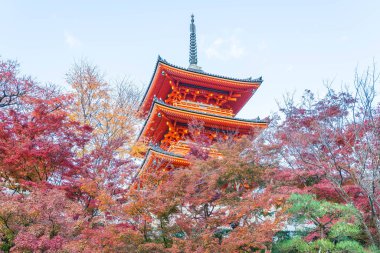 Kiyomizu-dera Tapınağı güzel mimari Kyoto,.