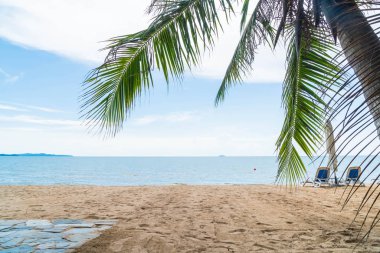 Pattaya Tayland'da palmiye ve tropikal plaj