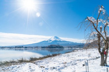 Dağ Fuji San Kawaguchiko Gölü.