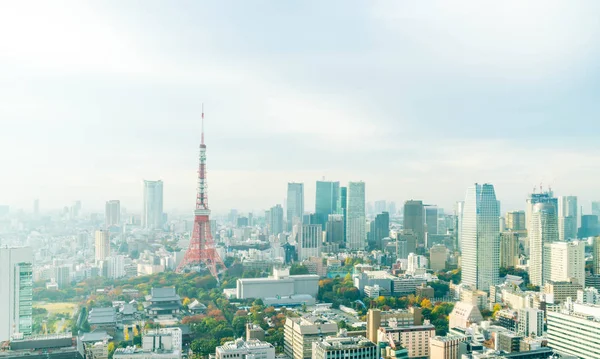 De skyline van de stad van Tokyo in de schemering — Stockfoto