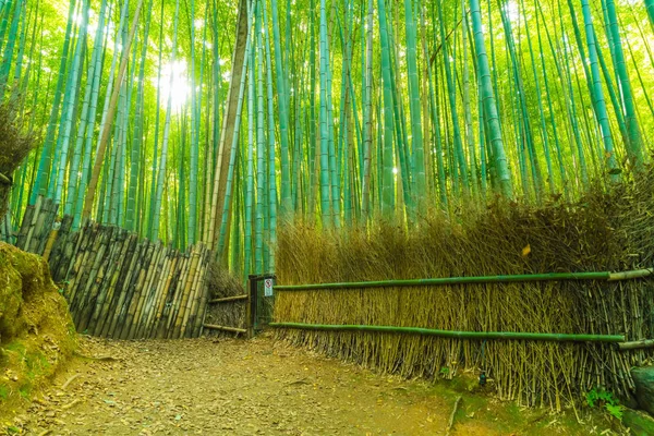 Camino al bosque de bambú en Arashiyama en Kyoto . —  Fotos de Stock