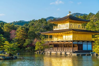 Kinkakuji Tapınağı (altın köşk güzel mimari)