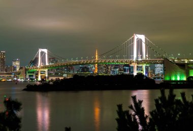 Tokyo siluetinin Tokyo kule ve Gökkuşağı Köprüsü ile. 