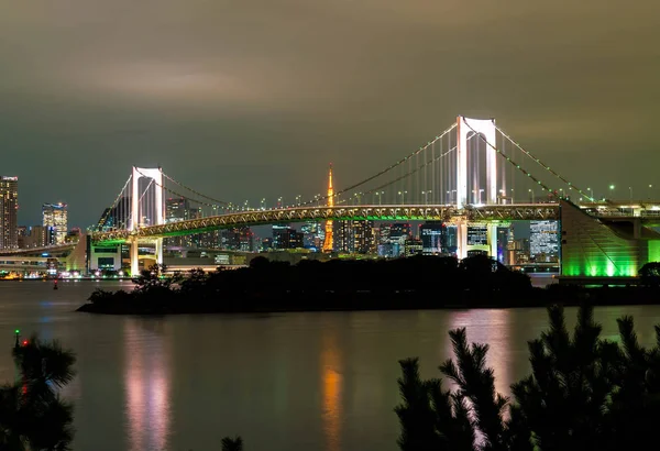 Tokyo siluetinin Tokyo kule ve Gökkuşağı Köprüsü ile. 