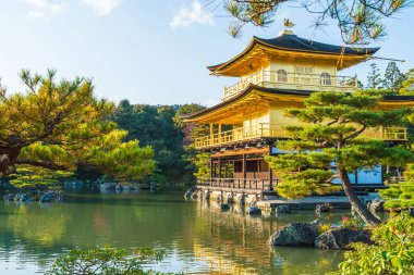 Kinkakuji Tapınağı (altın köşk güzel mimari)