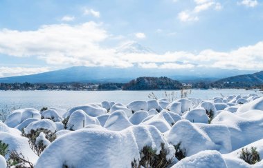 Dağ Fuji San Kawaguchiko Gölü.