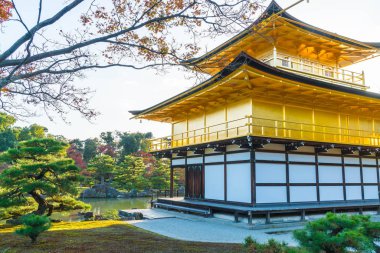 Kinkakuji Tapınağı (altın köşk güzel mimari)