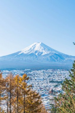 Kawaguchiko, dağ Fuji San